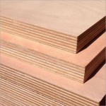 18mm Plywood Red & white okume face economy Plywood