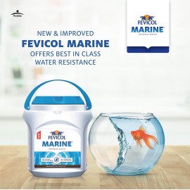 Fevicol Marine waterproof Adhesive very lowest rate