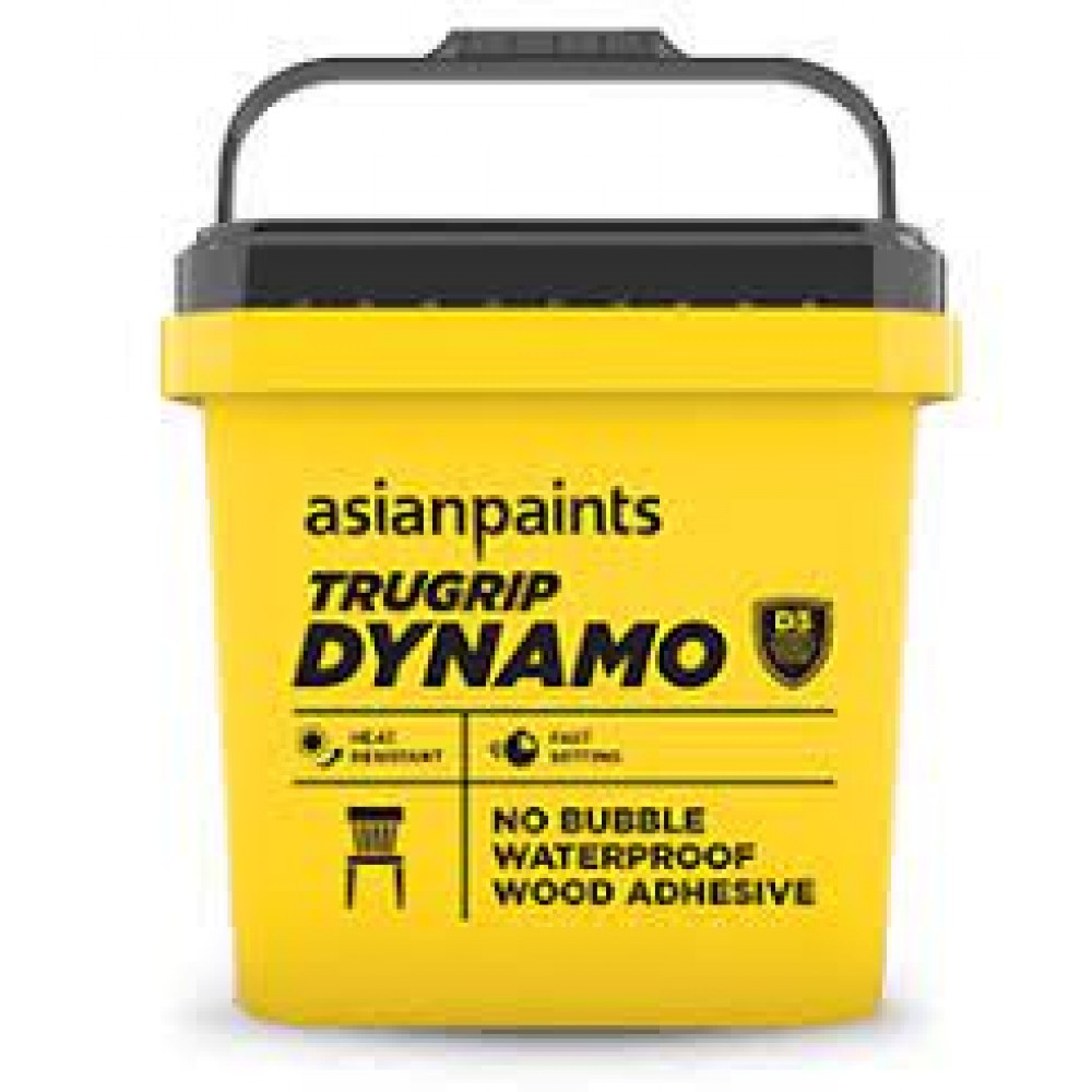 Asian Paint Adhesive TrueGrip Dynamo D3 