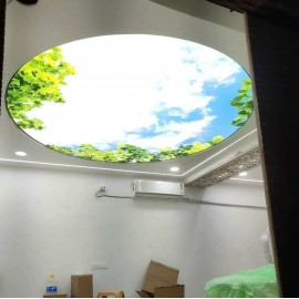 Scratch Fabric Celling with Lighting and Installation with 21 years warranty 