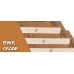 Flush Door BWR 100% Water Proof Grade 25mm to 45mm ISI 2202 Pine wood  Gurjan Face 